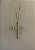 Colar Crucifixo Gold - Imagem 9