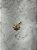 Colar Personalizado Animal Print - Imagem 19