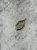 Colar Personalizado Animal Print - Imagem 14