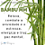 Essência Aromática de Bambu MMartan 10ml - Imagem 7