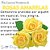 Essência Aromática de Rosa Amarela 10ml - Imagem 7