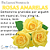 Essência Aromática de Rosas Amarelas 100ml - Imagem 1