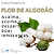 Essência Aromática de Flor de Algodão 10ml - Imagem 7