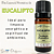 Essência Aromática de Eucalipto 10ml - Imagem 6