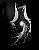 Regata RX.PRO IIII - Imagem 6
