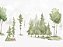 Papel de Parede Bosque de Pinus - Imagem 1