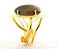 Anel Jaspe Policromo Cabochão Oval Pequeno Dourado - Imagem 2