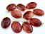 Colar Cabochão Aragonita Vermelha Pedra Natural Pino Dourado - Imagem 2