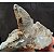Mini Cristal Drusa Natural Pedra de Garimpos de Minas Gerais - Imagem 5