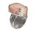 Anel Cabochão Oval Rodocrosita Tamanho G Garra Prata 950 - Imagem 1