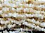 Fio Madre Perola Cascalho Furado a Laser Concha Natural 90cm - Imagem 1