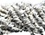 Fio Howlita White Natural Rolada Cascalho Furado a Laser90cm - Imagem 1