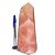 Ponta Quartzo Rosa Grande 20cm 1,47Kg Pedra Natural Classe B - Imagem 3