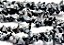 Fio Obsidiana Flocos de Neve Cascalho Furado a Laser  90cm - Imagem 1