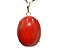 Colar Cabochão Jaspe Vermelho Prata 950 Garra - Imagem 1
