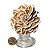 01 Rosa do Deserto Grande Extra Com Base 350 a 500g Classe A - Imagem 5