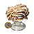 01 Rosa do Deserto Grande Extra Com Base 350 a 500g Classe A - Imagem 8