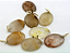 01 Pingente Nlux Cabochão Oval Cristal Com Rutilo Prata 950 - Imagem 2