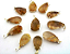 01 Pingente Nlux Gota Cristal com Rutilo Montagem Garra Prata 950 - Imagem 4