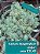 Sedum dasyphyllum major - Imagem 1