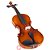 Violino 3/4 BVR301 - BENSON - Imagem 11
