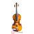 Violino 4/4 BVM501S - BENSON - Imagem 11