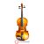 Violino 4/4 BVR302 - BENSON - Imagem 16