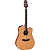 VIOLAO TAKAMINE GD20CE NS FOSCO & TP4TD - Imagem 1