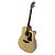 Violão 6 Cordas De Aço Elétrico Sgd 193c Stnt - Shelby - Imagem 2