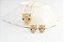 CONJUNTO JAGUAR LUXO - Imagem 3