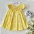 Vestido Bebê Artesanal Casinha de Abelha Amarelo | Bordado Delicado à Mão | Clássico, Elegante e Confortável - Imagem 7