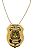 DISTINTIVO PPDF (base metal) - Imagem 2