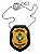 DISTINTIVO COURO SISTEMA PENITENCIÁRIO GOIÁS - Imagem 1