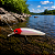 Isca Artificial Spritz 82 - Maruri Fishing - Imagem 6