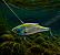 Isca Artificial Lambari 75 - Maruri Fishing - Imagem 7