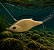 Isca Artificial Lambari 75 - Maruri Fishing - Imagem 8