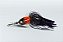 ISCA ARTIFICIAL SPINNER HULA HULA COLHER IN LINE - EXTREME JIGS - Imagem 2