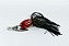 ISCA ARTIFICIAL SPINNER HULA HULA COLHER IN LINE - EXTREME JIGS - Imagem 5