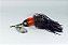 ISCA ARTIFICIAL SPINNER HULA HULA COLHER FRANCESA - EXTREME JIGS - Imagem 2