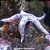 Estrela Branca "Limpadora de Substrato" (Astropecten polyacanthus) - Imagem 1