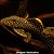 Cascudo Pepita de Ouro - 4 a 8 cm (Baryancistrus xanthellus) - Imagem 1