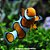 Palhaço Nemo (Amphiprion ocellaris) - Imagem 1