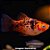 Plati Salt Pepper (Xiphophorus maculatus) - Imagem 1