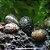 Caramujo Neritina (Neritina virginea) - Imagem 1
