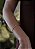 Bracelete Slim - Banho Flash - Imagem 11