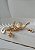 Broche Alexandra - Banho Flash - Imagem 4