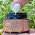 Creme Facial Biomas 50mL - Cativa Natureza - Imagem 2