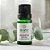 Óleo Essencial Eucalipto Globulus 10mL - Terra Flor - Imagem 2