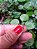 Pulseira de aço com pedra natural - Imagem 7