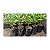 Saco Plástico Para Mudas De Plantas 15x20 Cm - 285 Sacos - Imagem 2